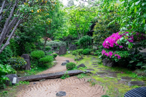 Soothing Japanese garden